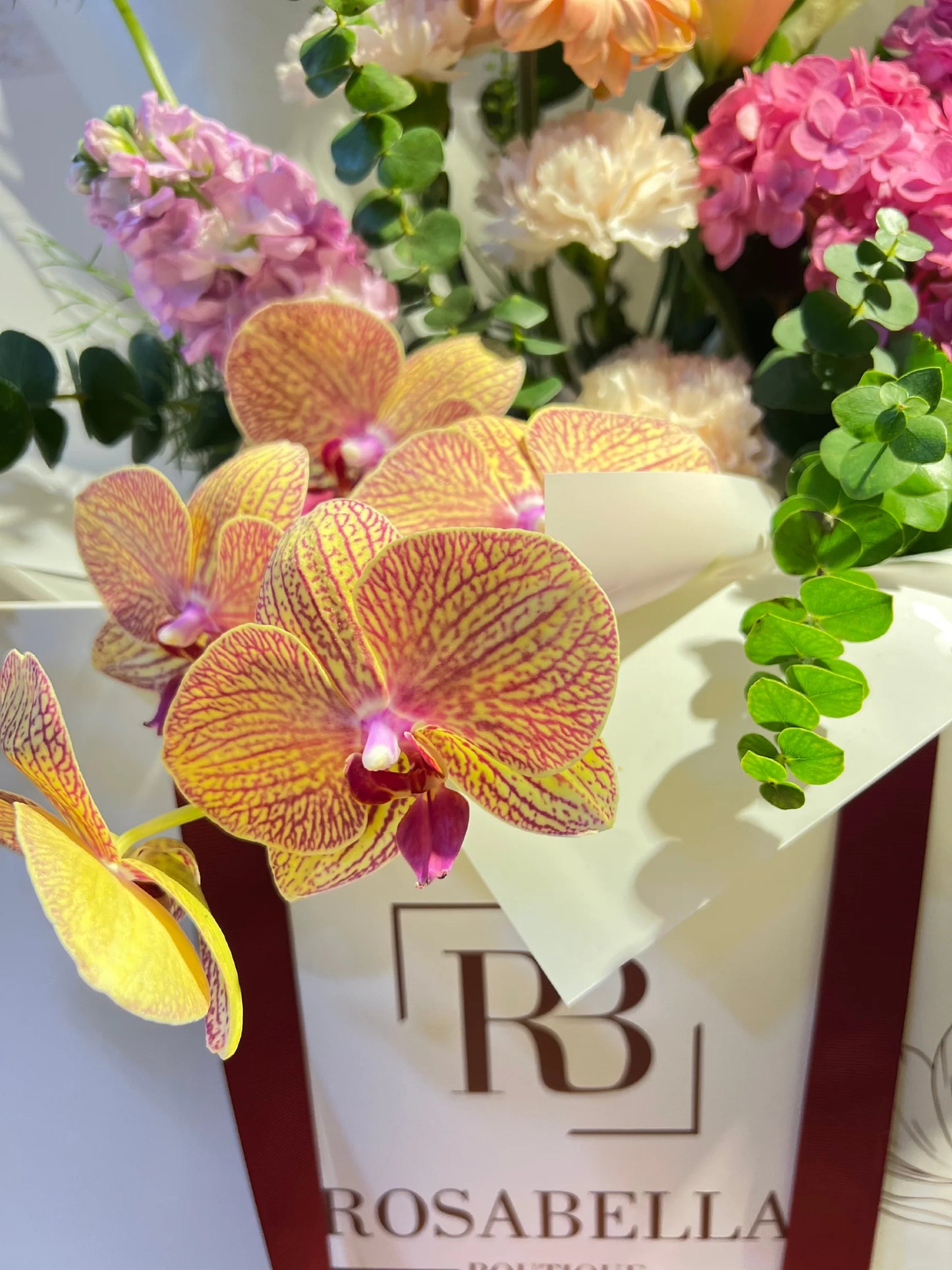 Orchid Splendor Handbag Arrangement with vibrant Gerberas and exquisite orchids in a stylish handbag, available as special flowers with delivery to Dubai, Sharjah, and Muwaileh.