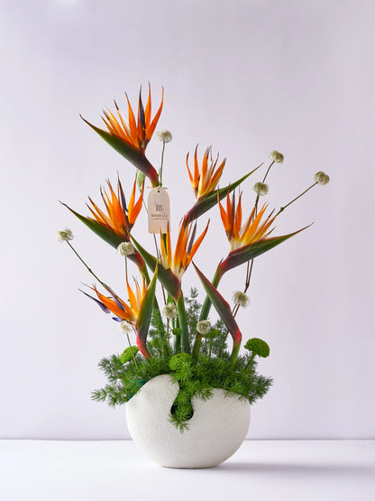 Paradaiso Vase Arrangement with striking Birds of Paradise blooms, available with flower delivery to Dubai, Sharjah, and Muwaileh.