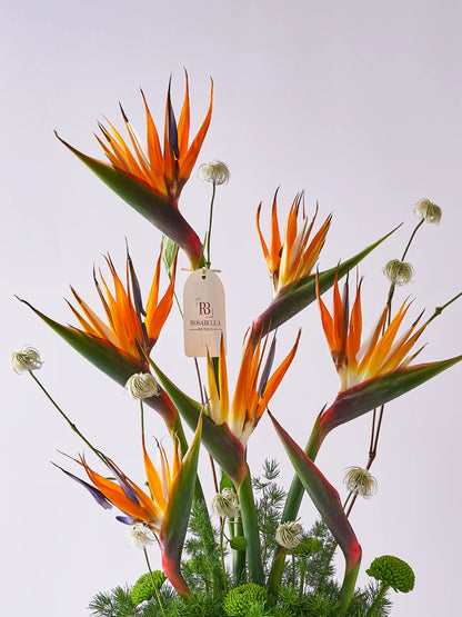 Paradaiso Vase Arrangement with striking Birds of Paradise blooms, available with flower delivery to Dubai, Sharjah, and Muwaileh.