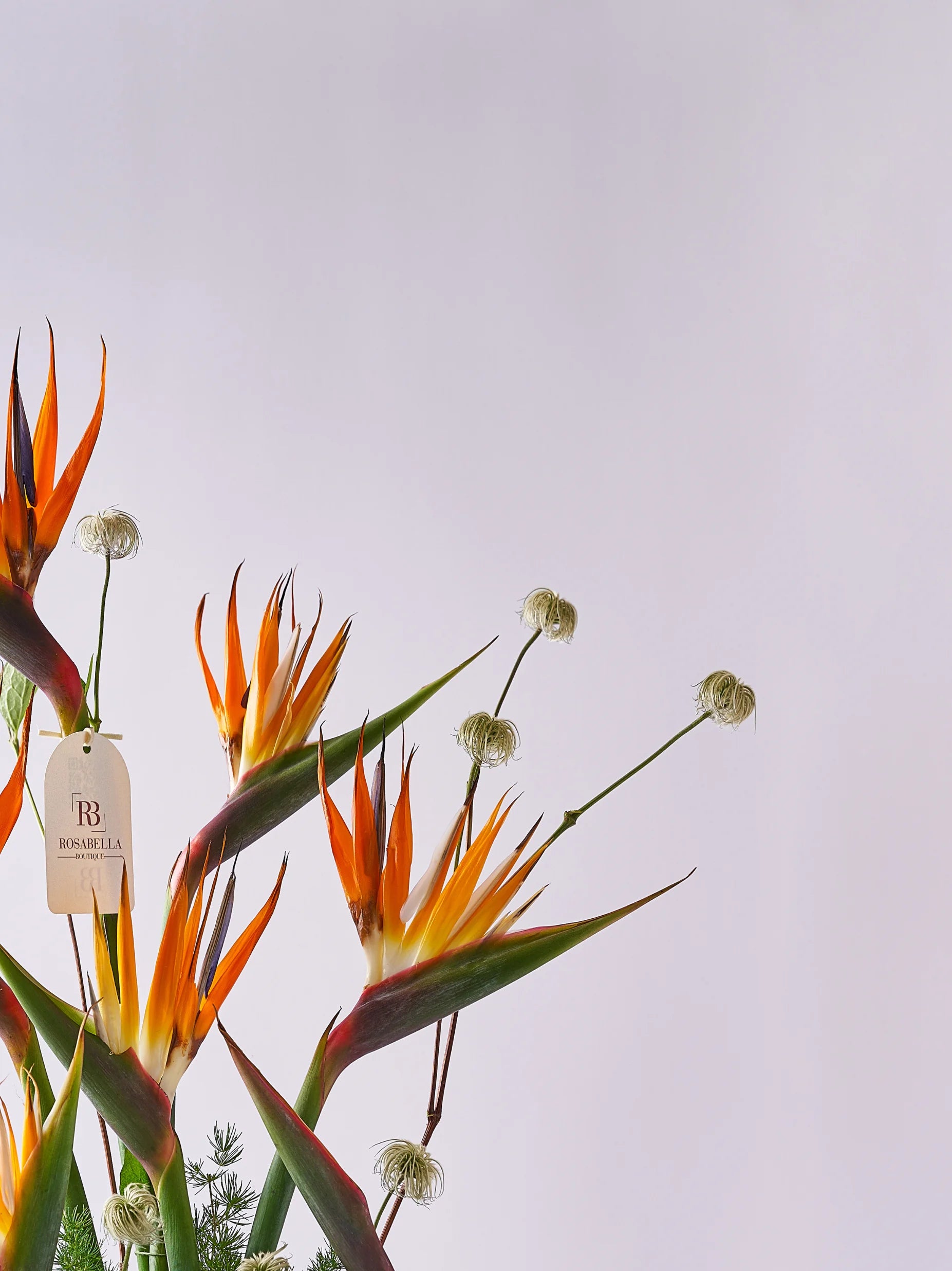 Paradaiso Vase Arrangement with striking Birds of Paradise blooms, available with flower delivery to Dubai, Sharjah, and Muwaileh.