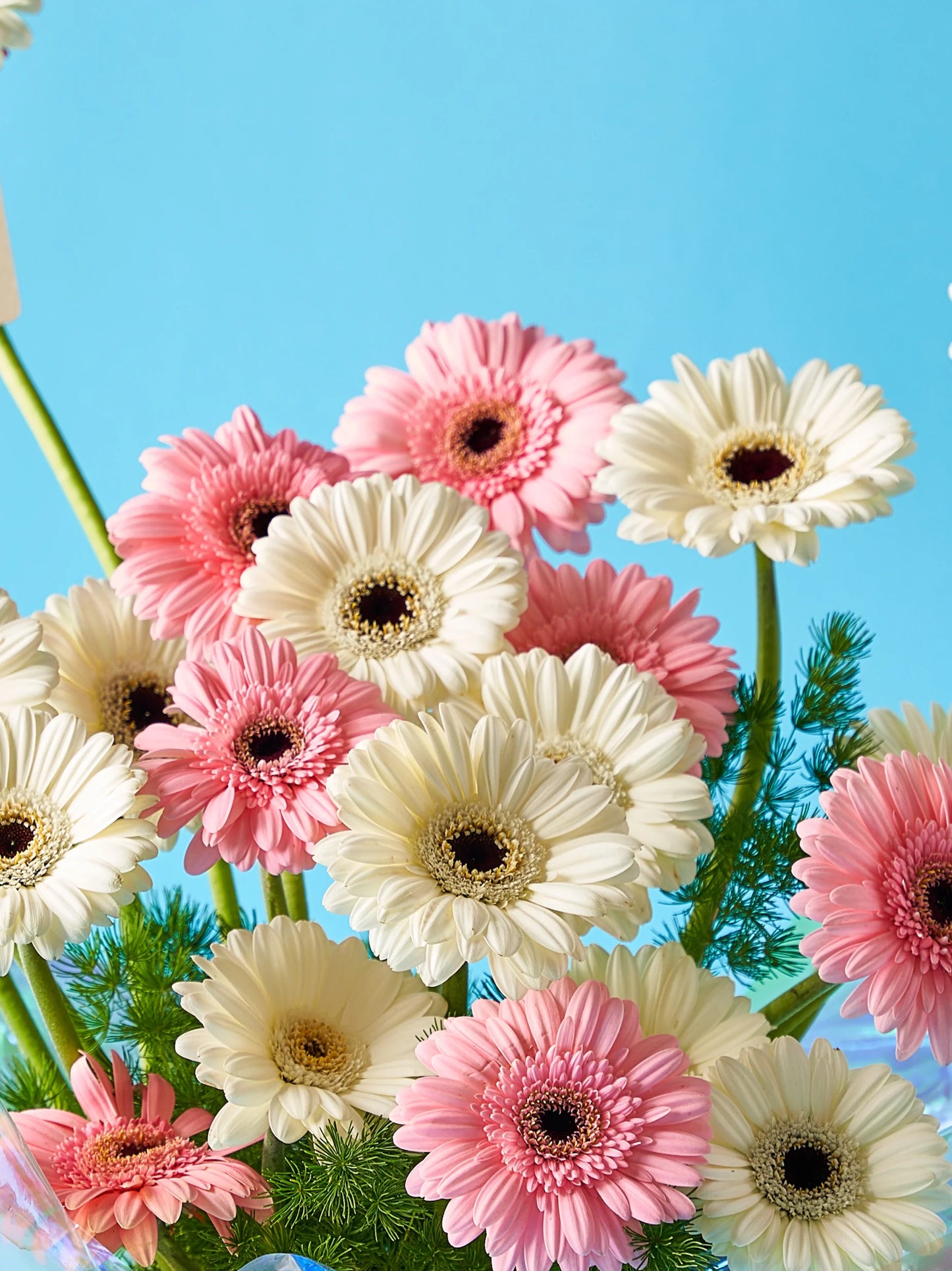 Rainbow Bliss Bouquet with pink and white blooms wrapped in iridescent rainbow packaging, available for flowers delivery to Dubai, Sharjah, and Muwaileh.