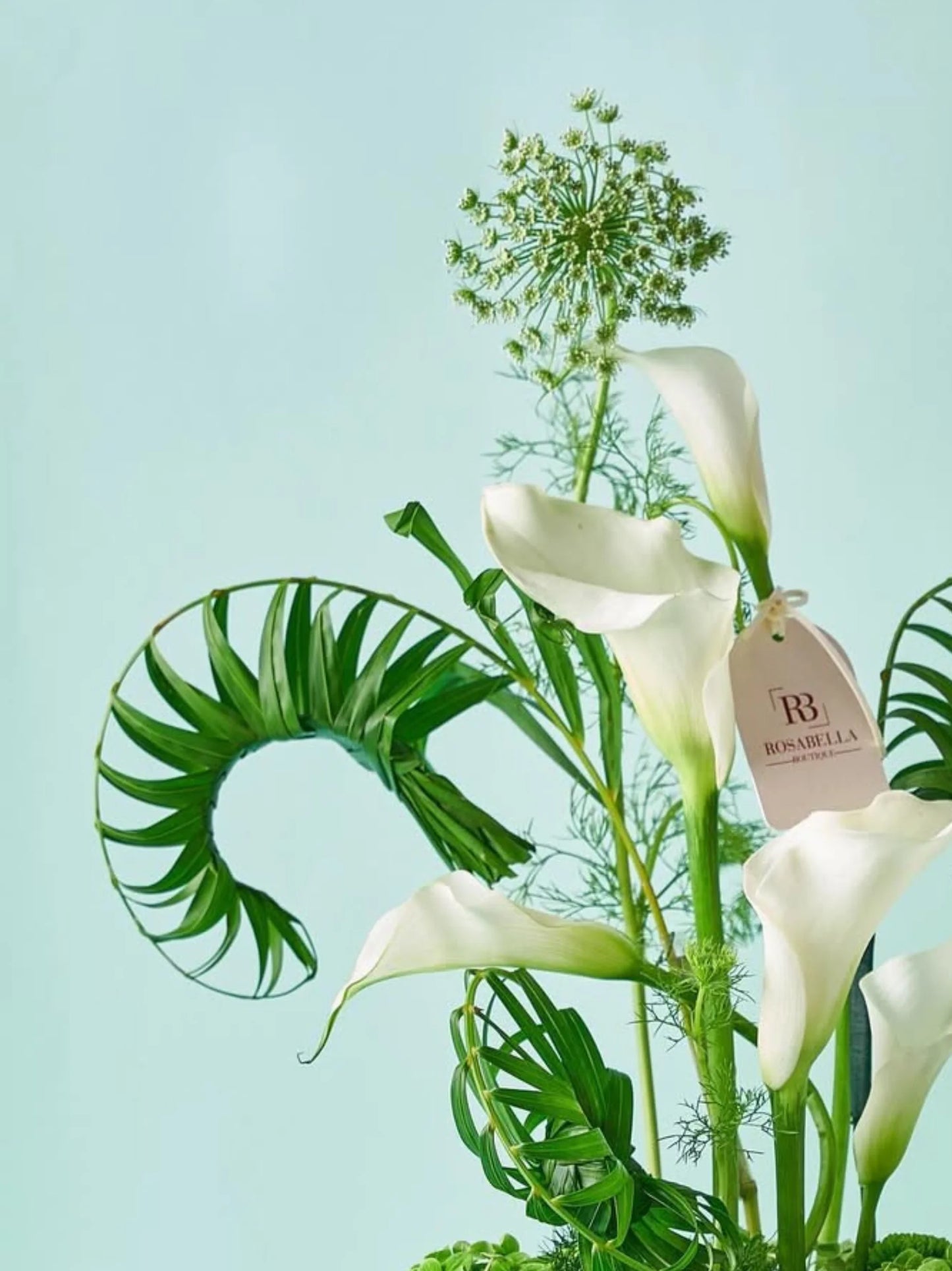 Tranquil Ivory Arrangement with white Calla lilies and lush green foliage in a premium leather tray, available as an elegant floral arrangement with delivery to Dubai, Sharjah, and Muwaileh.